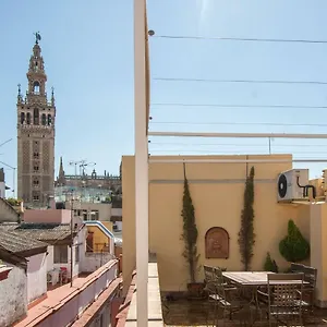  Appartement Botanic Duplex Terrace 5 Pax Espagne